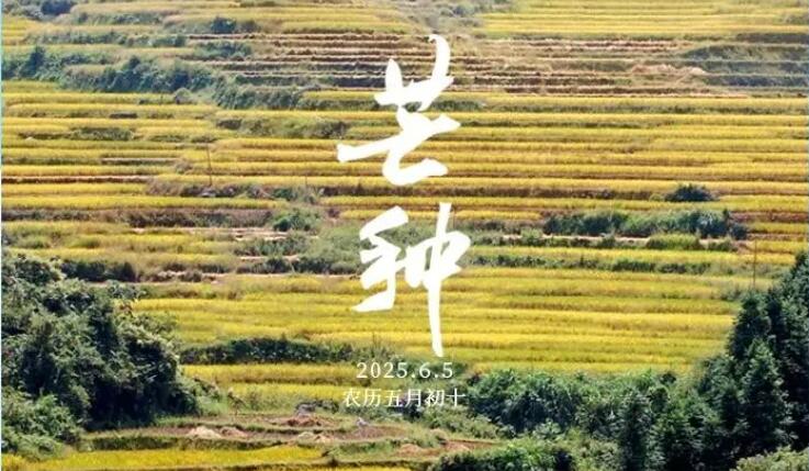 QQ截图20250606104352.jpg