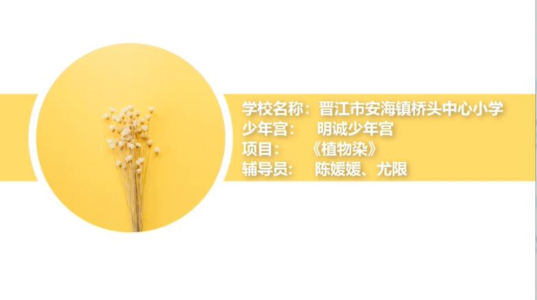 桥头中心小学.jpg